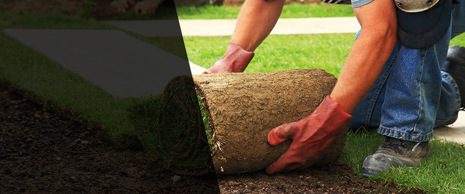 Parker Ford Landscapers